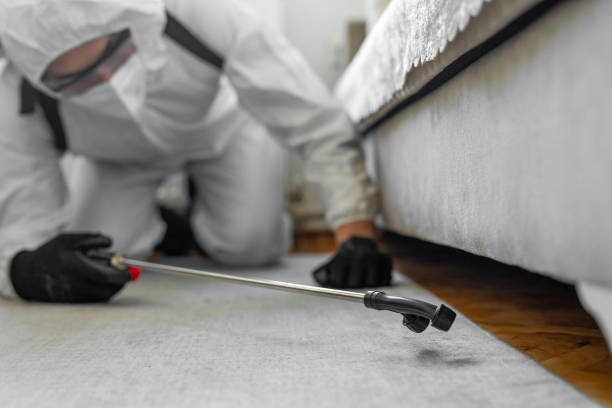 Professional Bed Bug Control technician working in Wardsville, MO