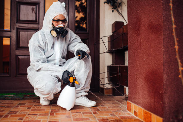Reliable Bed Bug Control contractor in Wardsville, MO by Nex Pest Control
